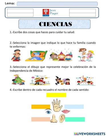 Evaluación ciencias