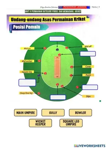 Undang-undang permainan kriket
