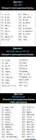 Диктант. Сочетания ЖИ, ШИ, ЖЕ, ШЕ, ЧА, ЧУ, МЯГКИЙ ЗНАК. Впишите пропущенные буквы .