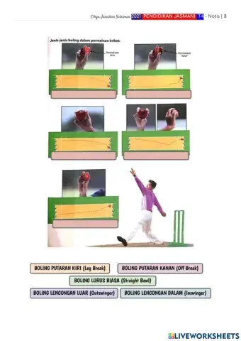 Undang-undang permainan kriket