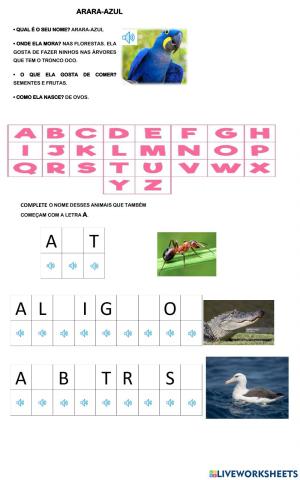Alphabet-Complete Names