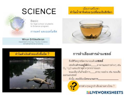 Cellular transport แก้ไข