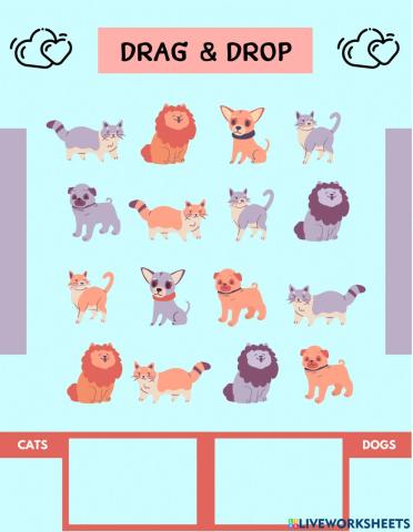 สัตว์เลี้ยงของฉัน