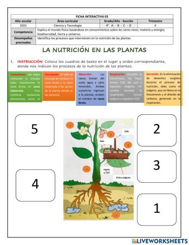 Ficha Interactiva 03- La nutrición de las plantas