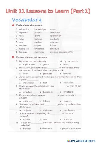 Unit 11 Lessons to Learn (Vocabulary Part 1)