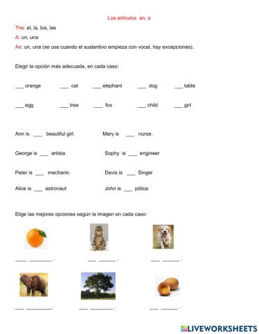 Artículos a,an