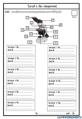 ใบงาน เรื่อง กล้องจุลทรรศน์