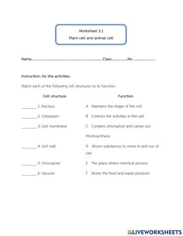 Functions of the organelles