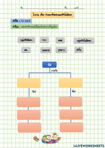 พืชมีดอก พืชไม่มีดอก