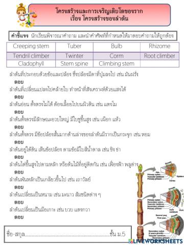 โครงสร้างและการเจริญเติบโตของพืชดอก