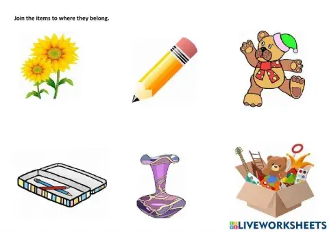 Join the items to where they belong