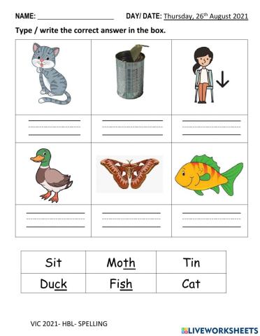 cvc and cvcc spelling practise