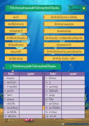 สัตว์ไม่มีกระดูกสันหลัง