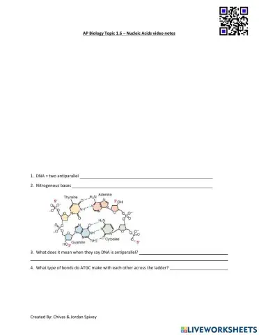 AP Biology Topic 1.6 - Nucleic Acids video