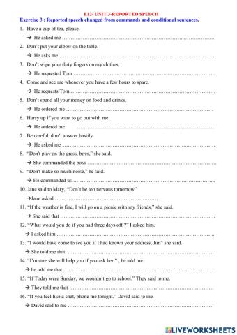 E12- reported speech 03