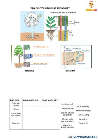 Bài 2. sinh học 11. vận chuyển các chất trong cây