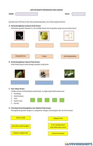 Reproduksi pada hewan