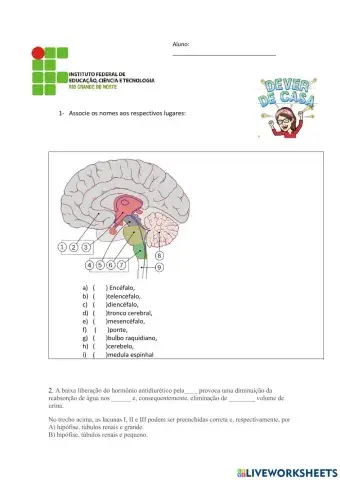 Biologia interativa nervoso