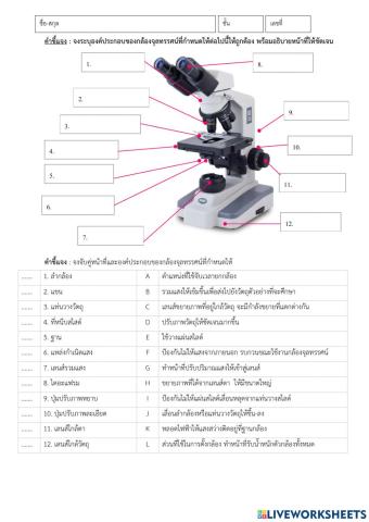 ส่วนประกอบของกล้องจุลทรรศน์1