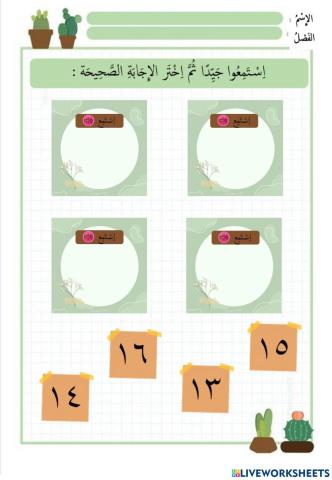 الأرقام 13 -16