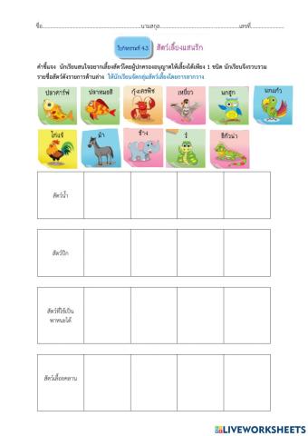 ใบกิจกรรมที่ 4.3 สัตว์เลี้ยงแสนรัก