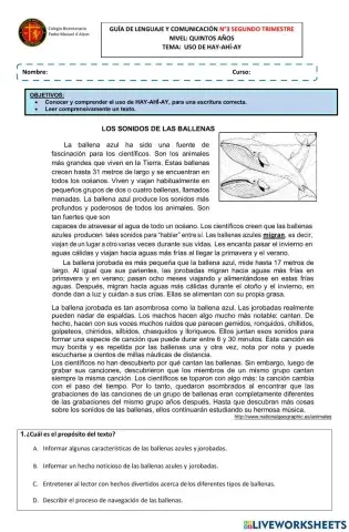 Guía n° 3 Uso de Hay-Ahí-Ay