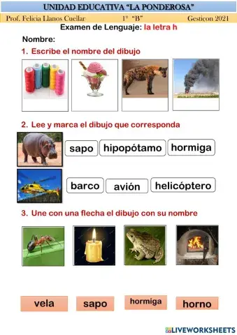 Evaluación de lenguaje