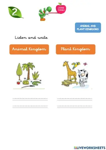 Animals and plants