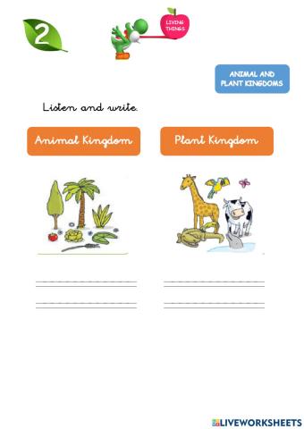 Animals and plants