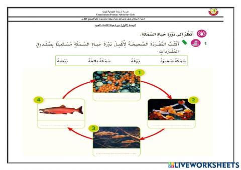 دورة حياة الاسماك