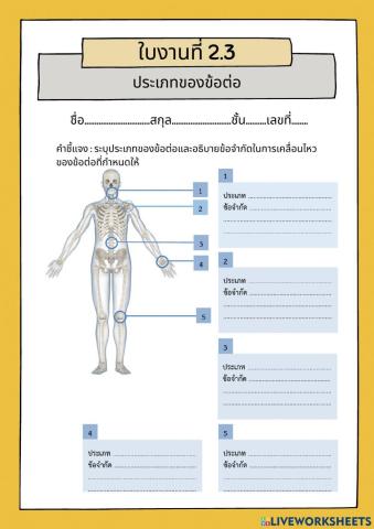 ใบงานที่ 2.3 ประเภทของข้อต่อ