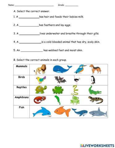 Vertebrate Animals