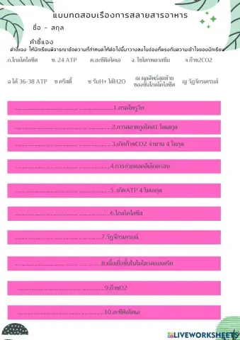 แบบฝึกิจกรรมเรื่องการสลายอาหารชุด2