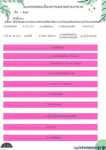 แบบฝึกิจกรรมเรื่องการสลายอาหารชุด2