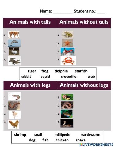 Classification of animals