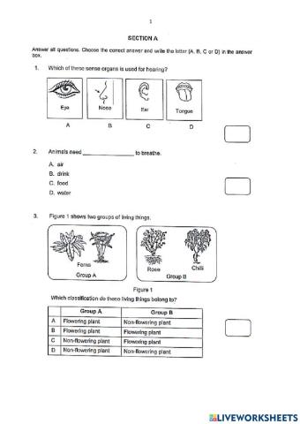 Science online test year 4