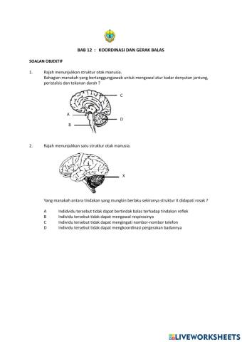 Koordinasi dan gerak balas dalam manusia