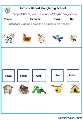 Animals and Their Homes