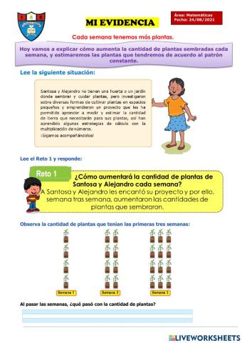 Cada semana tenemos más plantas