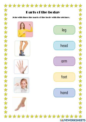 Parts of the body