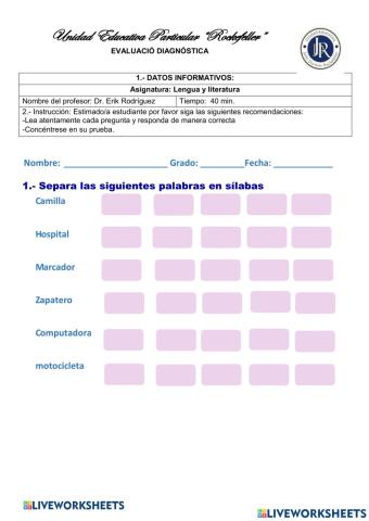 Prueba Diagnóstica