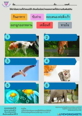 แบบทดสอบ4 หน่วย 2 ป.2