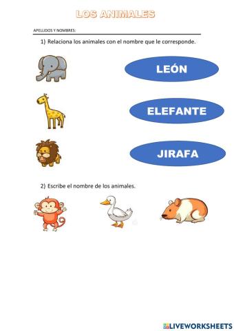 Los animales 3