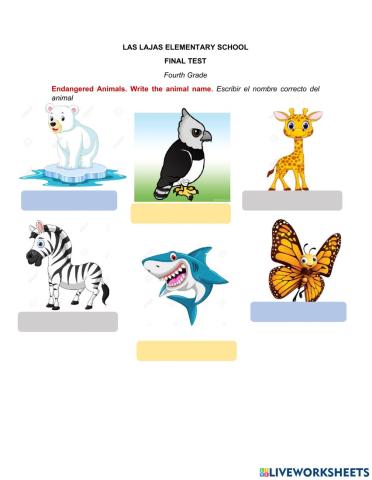 Fourth Grade Final Test