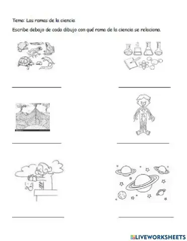 Escribe la rama de la ciencia  con que se relaciona