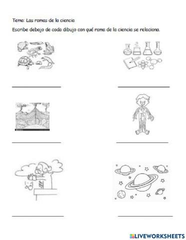 Escribe la rama de la ciencia  con que se relaciona
