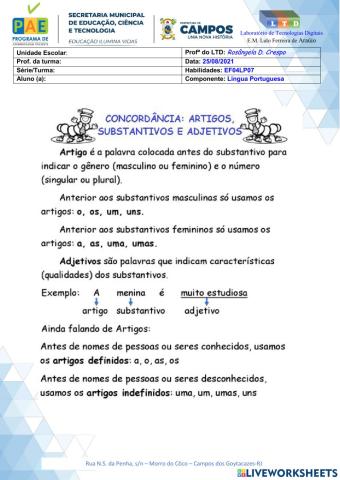 Concordância: artigos, substantivos e adjetivos.