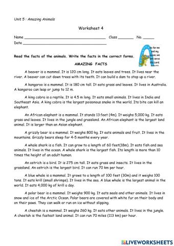 Amazing Fact of Animals