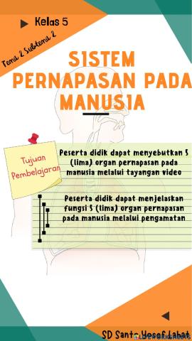 Sistem Pernapasan Pada Manusia