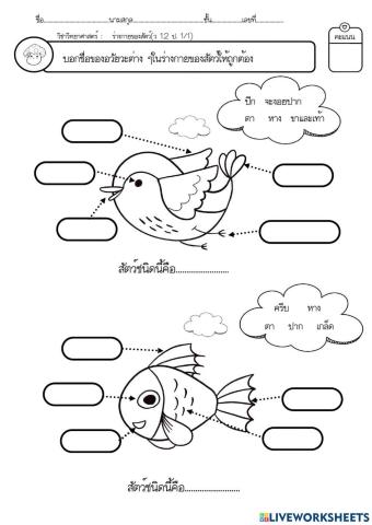 ส่วนประกอบของสัตว์